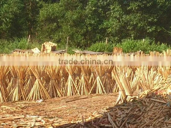 Cheap Wooden Broom VIETNAM Factory ( Contact@kego.com.vn)