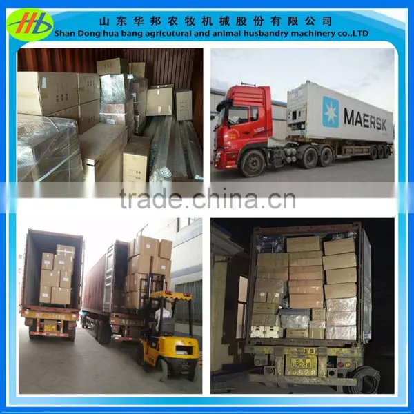 Poultry Farming Equipment Automatic Feeding System for Broiler Chicken photo-5