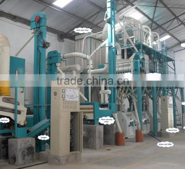 Professional Low Price Flour Mill Plant in China With Different Output photo-4