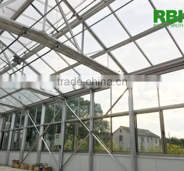 Aluminum Frame Glass Greenhouse PC Greenhouse With Aluminum Structure Single Span With Automatic Ventilation Greenhouse photo-4