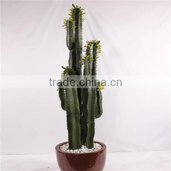 SJ3001107Ornamental Artificial Green Cactus Plants photo-2