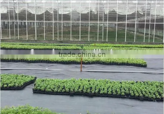Outdoor Polypropylene Roll Ground Covering Weed Mat photo-2