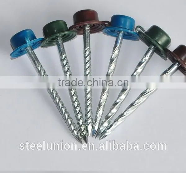 Twist Shank Roofing Nails With Plastic Cap photo-3