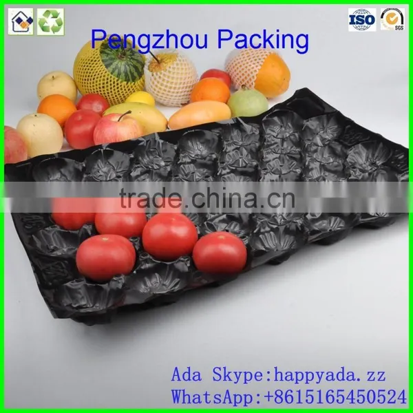 pp Tray PP Fruit Tray For Tomato photo-5