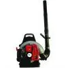 Backpack Garden Tools Gasoline Engine Blower EB650