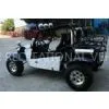 Chery SQRB2G06 Engine, Manual 4-speed-hydraulic Transmission Off Road Go Karts PYT600-EEC