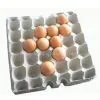Pulp Molding,pulp Molded,pulp Moulding