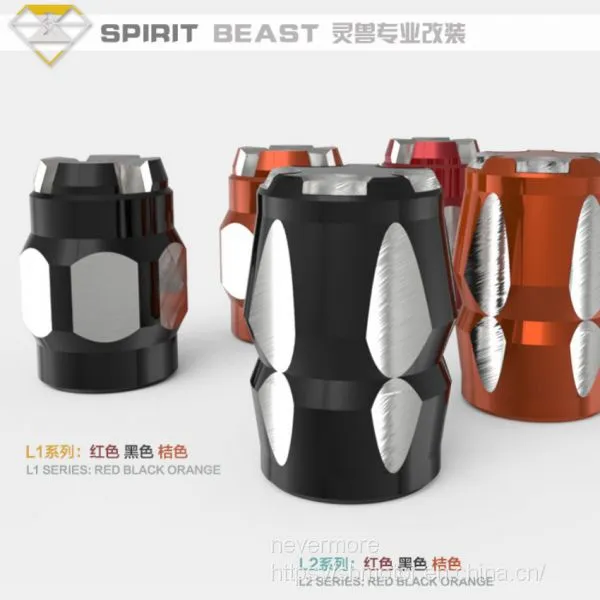 Spirit Beast Motorcycle Modified Wheel Gas Nozzle Cover AL Tire Valve Cap Cool Styling 2pcs/lot FL305 photo-4