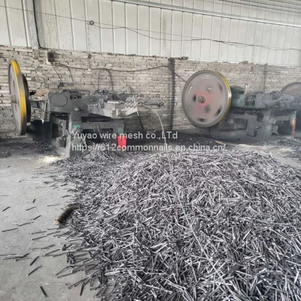 Common Nails/wire Iron Nails photo-2