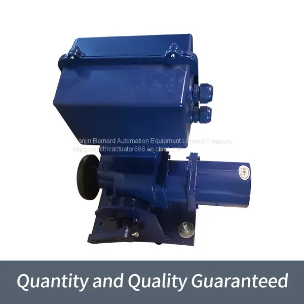 Bernard Remote Control Valve Device OA-10/F25H Angle Stroke Electric Actuator photo-4