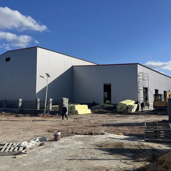 Steel Structure Prefabricated Cold Storage Building | Modular Cold Room Warehouse Solution