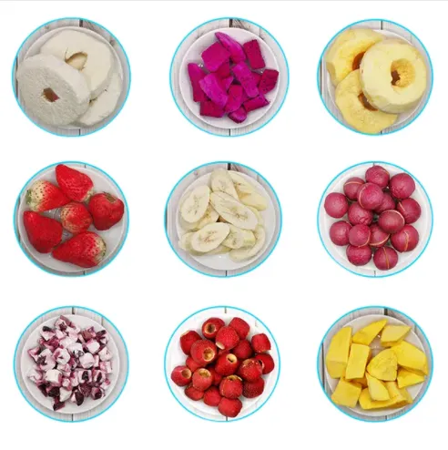 Intelligent Upgrade Freeze Vacuum Drying Machine photo-4