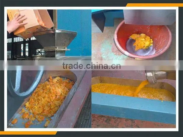 Leader High Quality Mango Peeling Pitting Pulping Machine Offering Its Services to Overseas photo-5