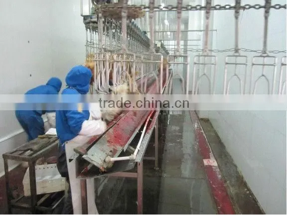 Poultry Killing and Bleeding Line photo-2