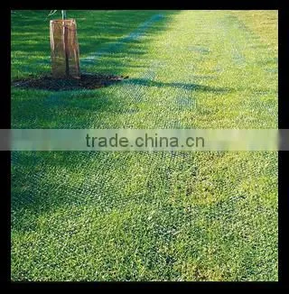 Protected Netting| Fence in Landscape Engineering From China photo-4