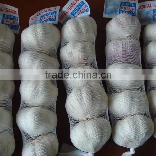 China 2016 Fresh Garlic photo-3