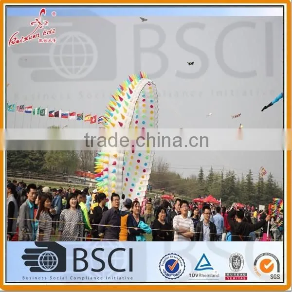 Kitesurfing Kites From Kaixuan China Most Popular photo-3