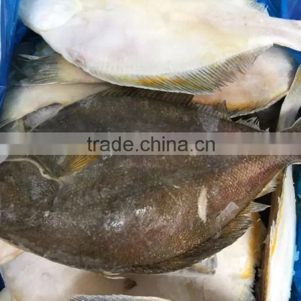2016 New Coming Frozen Plaice/flatfish for Sale photo-2