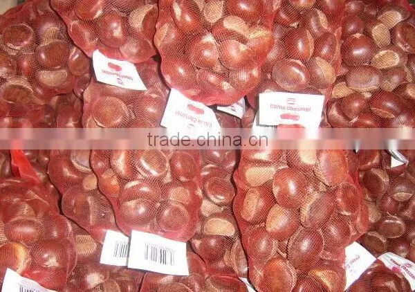 Raw Fresh Good Chestnuts Packed and Exported to Turkey photo-5