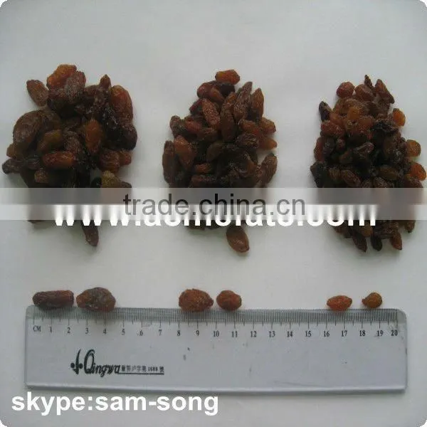 AAA Grade 95% Xinjiang Brown Raisin photo-3