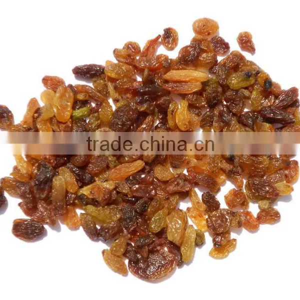 INDIAN MALAYAR RAISIN BEST RATE photo-3