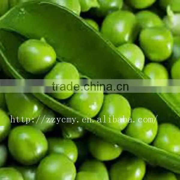 Canned Green Pea Protein