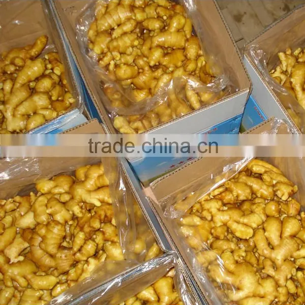 2016crop Air Dried Ginger Price photo-2