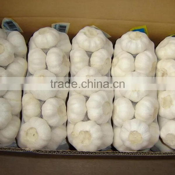 Chinese 2016 New Crop Garlic (4.5cm 5.0cm 5.5cm 6.0cm) Normal/pure White Garlic,mesh Bag or Carton Packing
