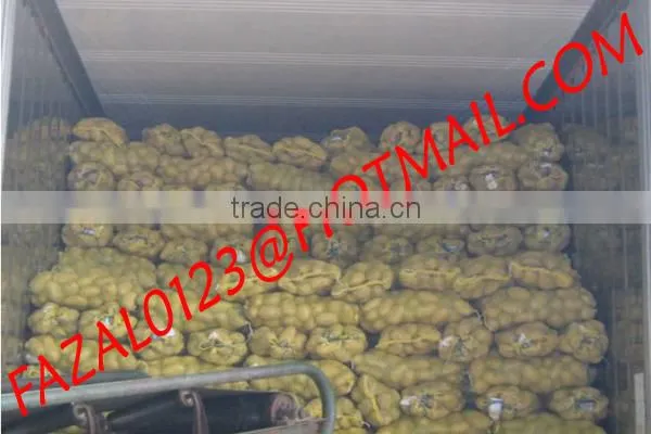 BANGLADESHI HIGH QUALITY FRESH GRANOLA POTATO AND DIAMOND POTATO FROM EXPORT TRADE ASSOCIATE WITH CHEAP PRICE photo-4