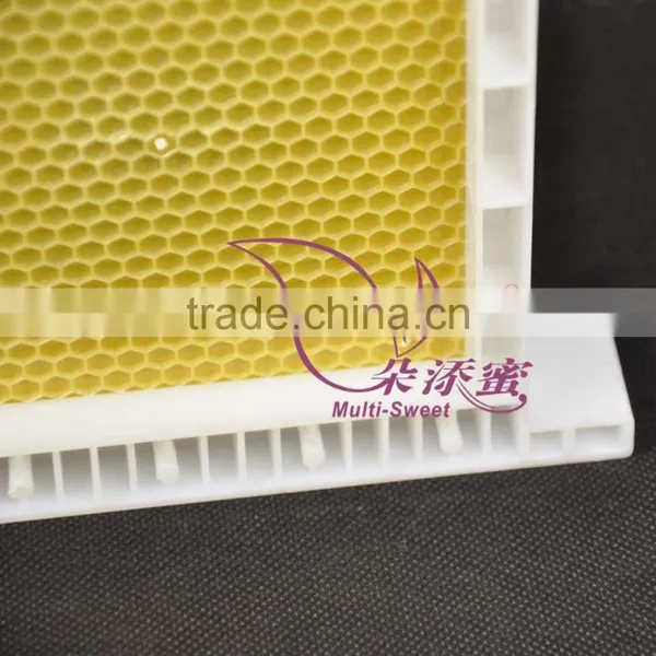 Plastic Frame With Foundation photo-2
