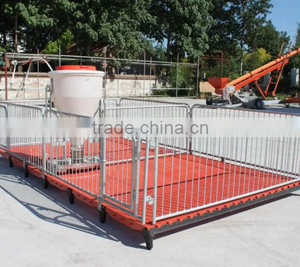 Poultry Feed Processing Equipment Stainless Steel Pigs Stall Nursery Crates photo-5