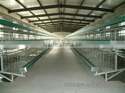 Poultry Equipment