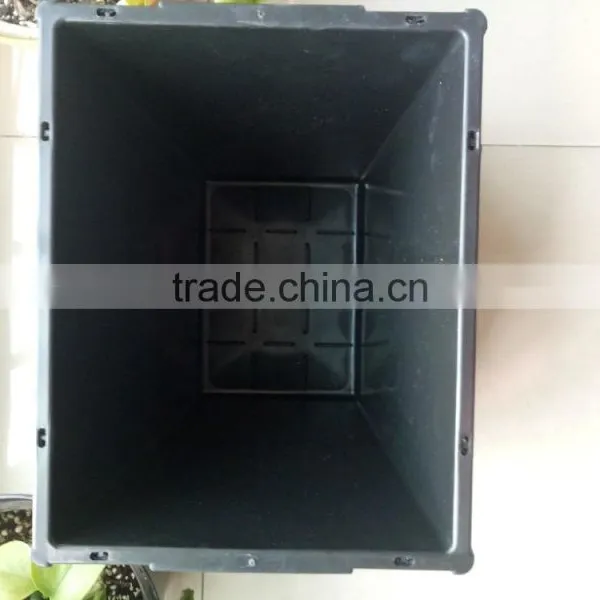 Plastic Flower Pot With Tulip, for Flower House photo-6