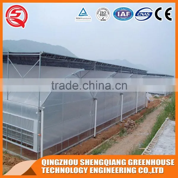 China Direct Plastic Greenhouse for Agricultural Farming photo-3