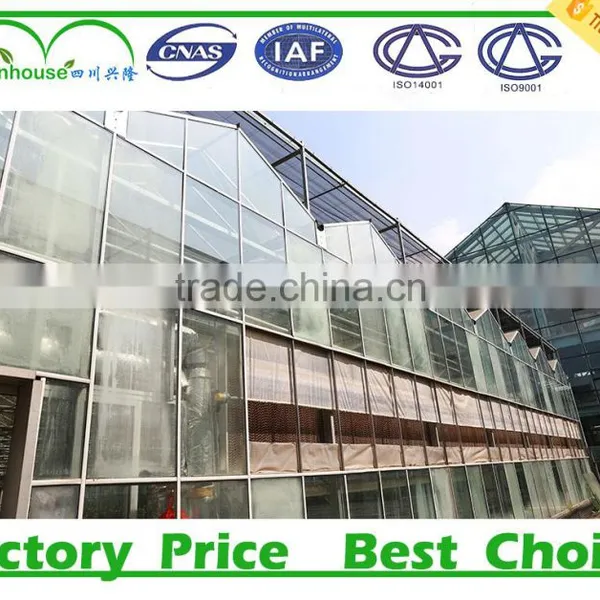 Vegetable Growing Intelligent Glass Greenhouse photo-2