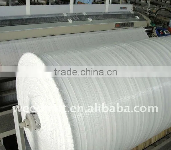 Wholesale PP/PE Woven Fabric Roll photo-4