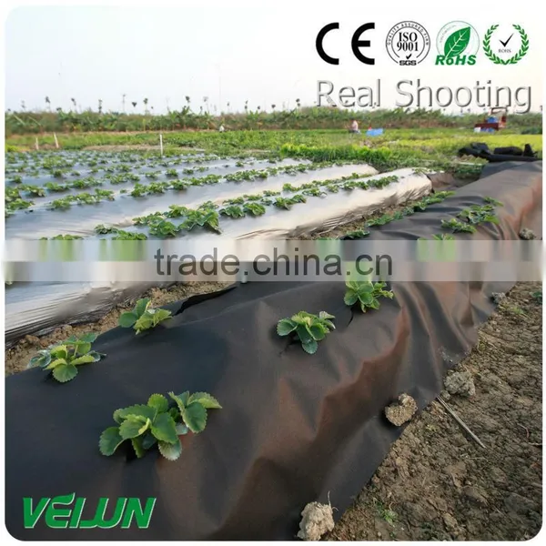 Non-woven Fabric Agriculture Non Woven Geotextile Fabric