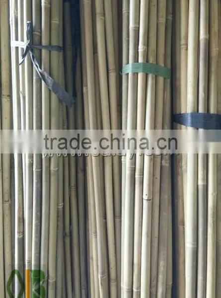 Different Sizes Tonkin Bamboo Stakes/poles/canes for Agriculture photo-3