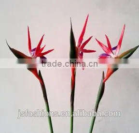 Paradise Bird Silk Artifical Flowers, Size and Color Can be Custmized, photo-2