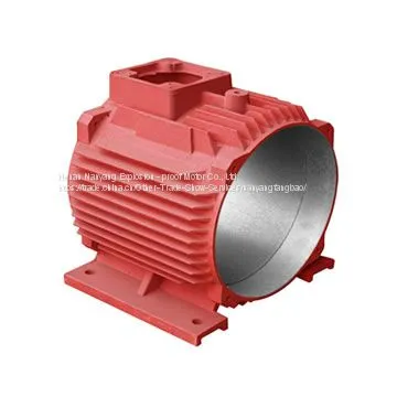 Nanyang Explosion-proof Motor Shell Advantage