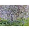 Sell Impression Oil Painting