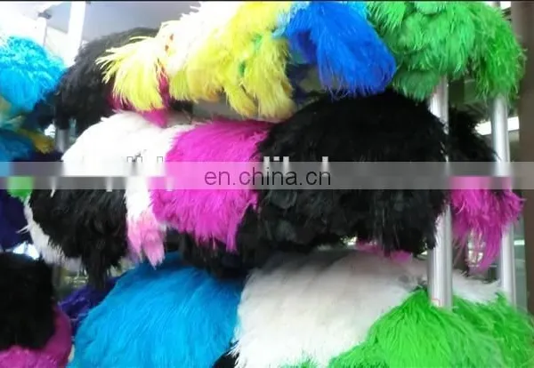 Wholesale South Africa Ostrich Feathers for Decoration Wedding Ostrich Feathers photo-6