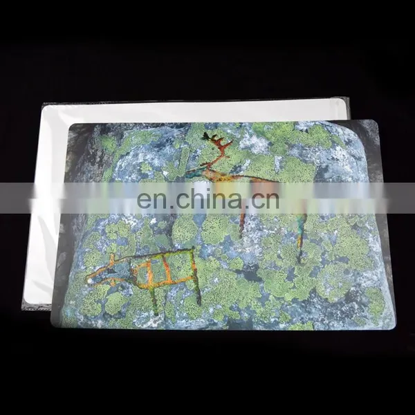OEM Order Plastic Hot Food Dining Table Mat photo-5