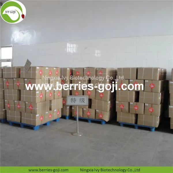 Factory Supply New Harvest Dried Goji Berries photo-5