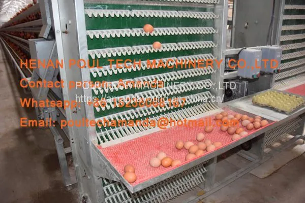 South Africa Chicken Farming Hot Galvanized Cage A Type Battery Laying Egg Chicken Cage & Chicken Coop & Hen Cage With 120 Birds photo-3