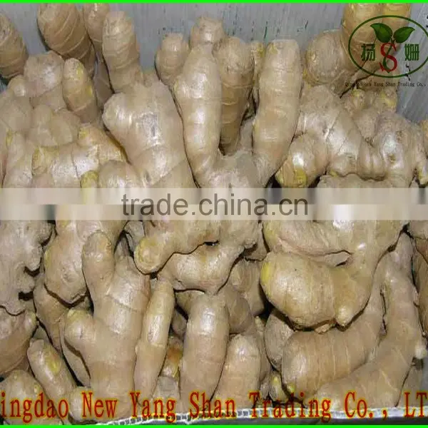 (HOT) 2015 Cang Shan Garlic /Cangshan Garlic(4 to 6 Cloves of Garlic) photo-4