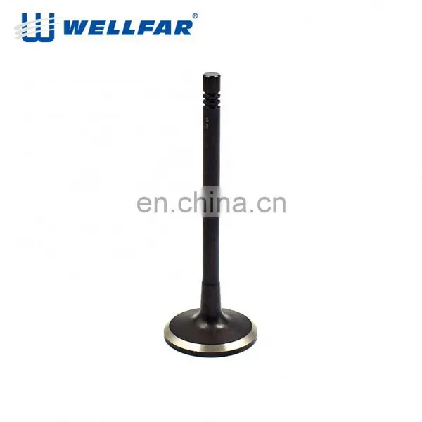 Wellfar OEM Quality For 05 Jetta OE 078 109 601B Engine Parts Intake and Exhaust Valve photo-2