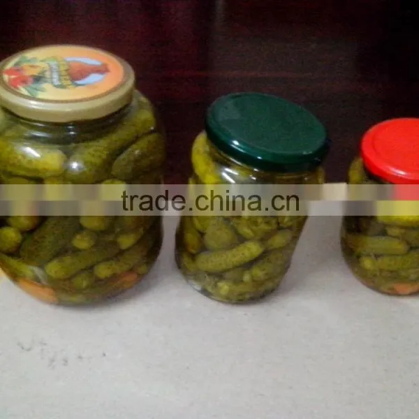 High Quality Canned Pickled Cucumber