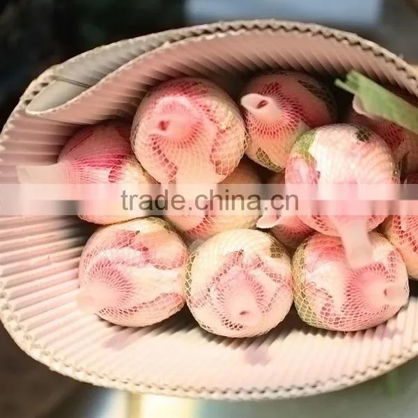 Colorful Classical Double Pink Rose photo-3
