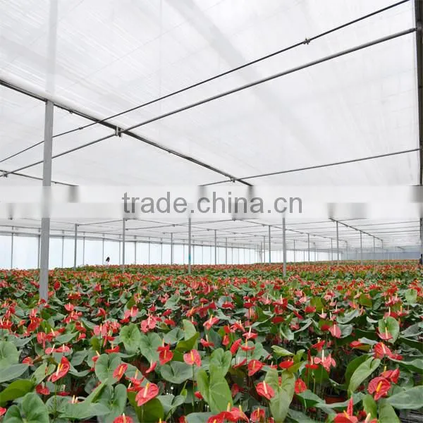 Full Automation System to Control Co2 in Greenhouses photo-2